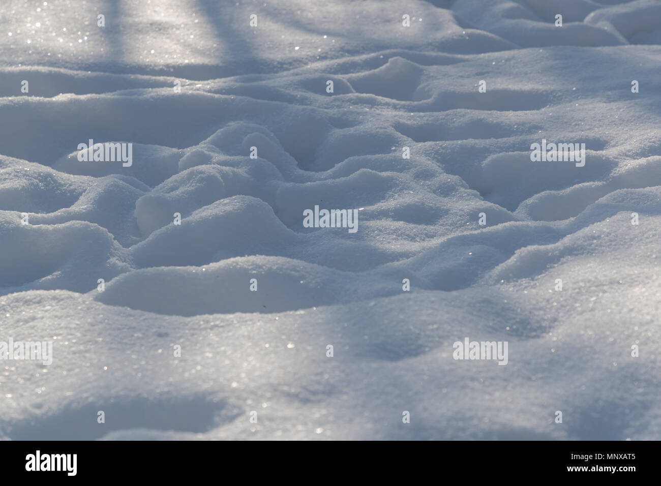 Calpestato il bianco della neve nelle ore diurne Foto Stock