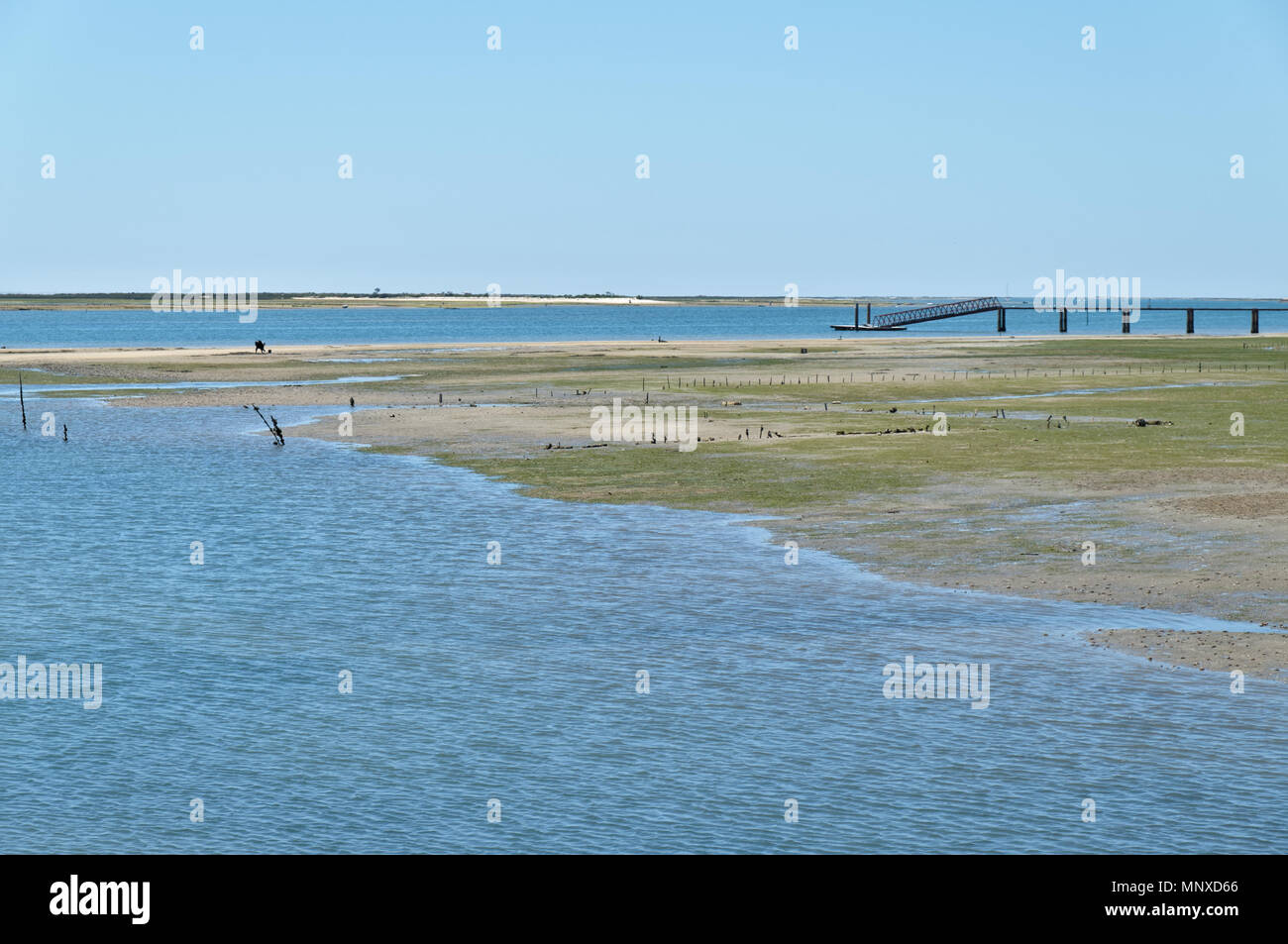 Ria Formosa durante la bassa marea. Olhao, Portogallo Foto Stock