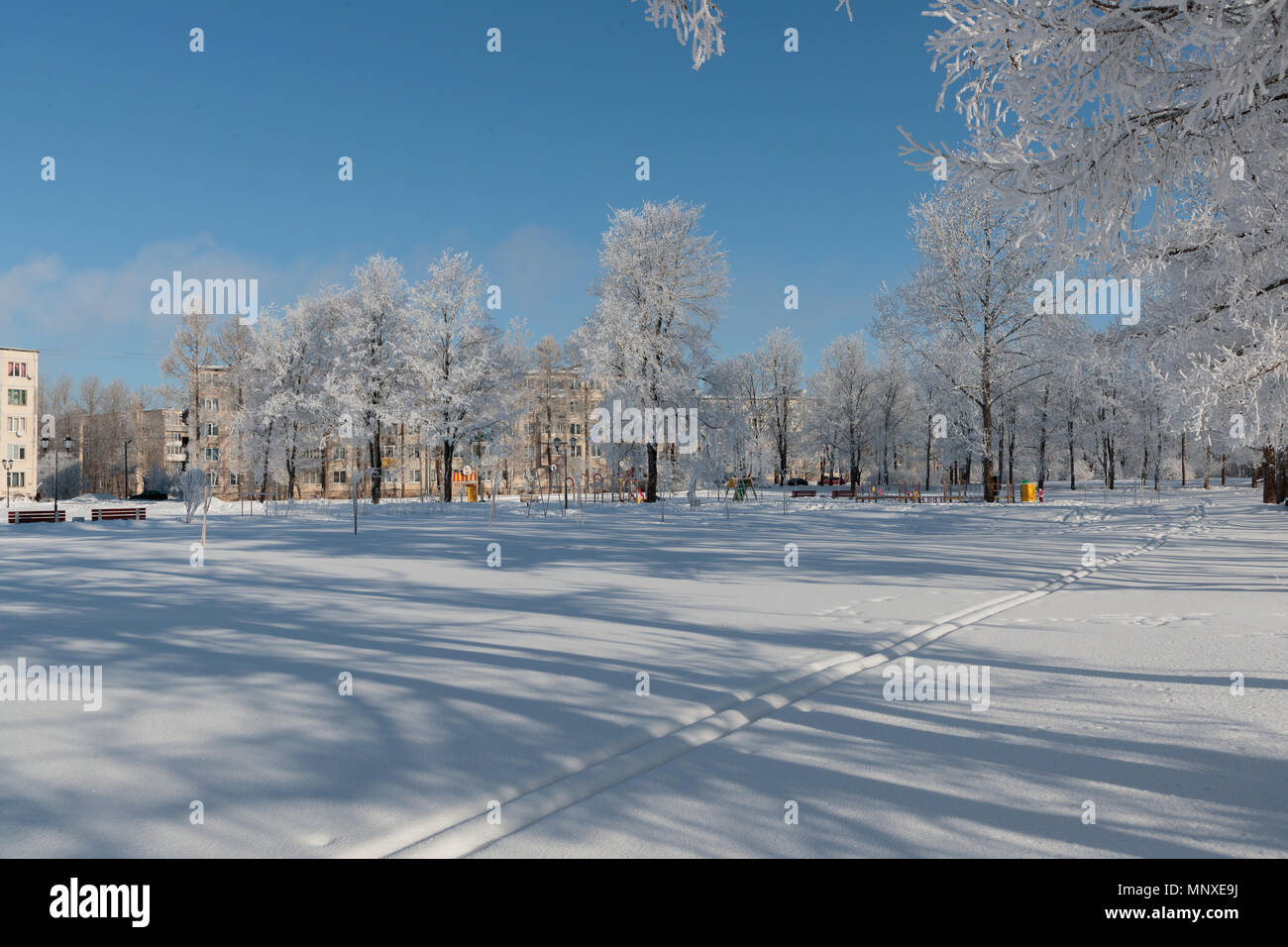 Lussureggianti alberi coperti di neve in città Foto Stock