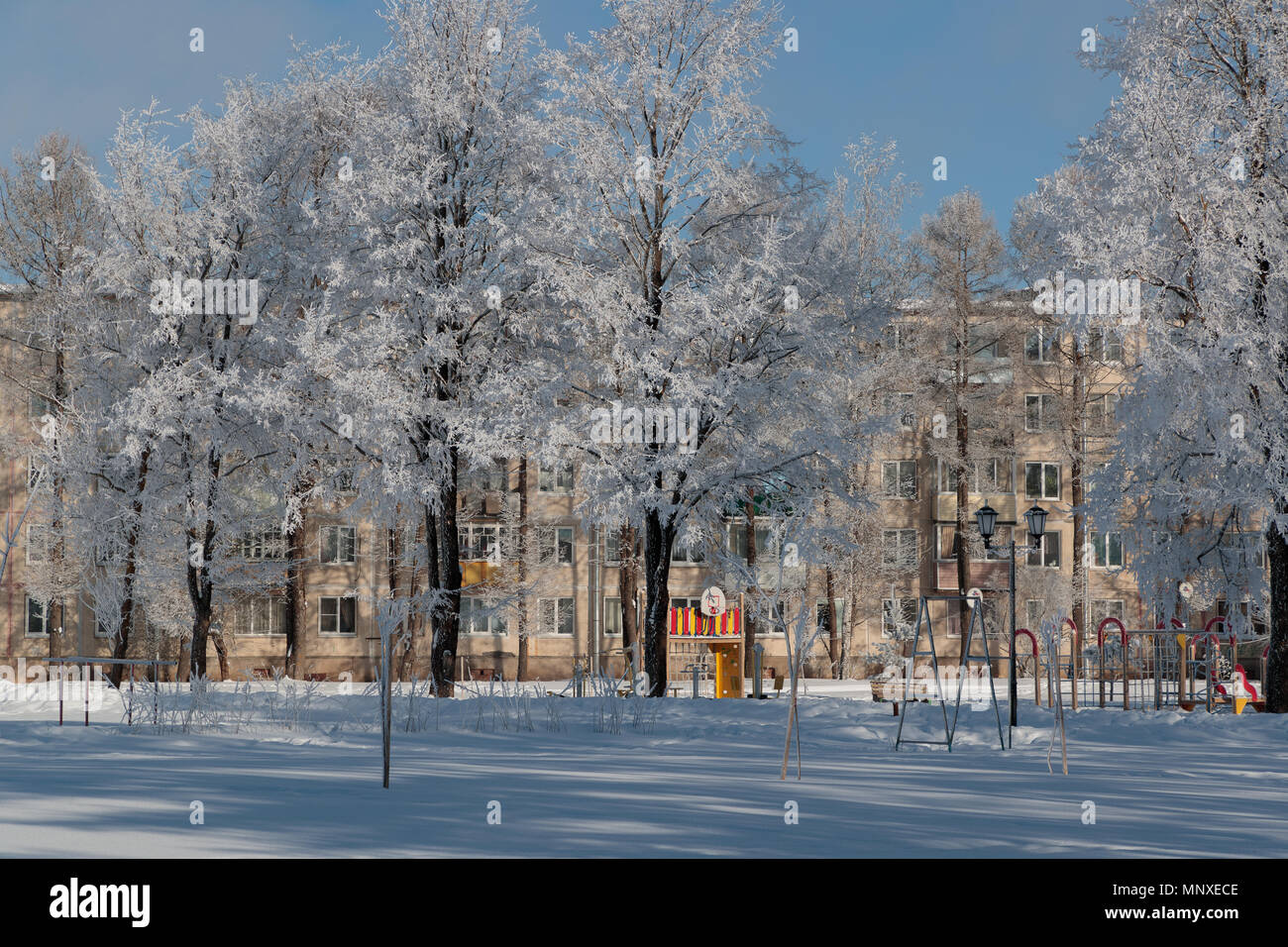 Lussureggianti alberi coperti di neve in città Foto Stock