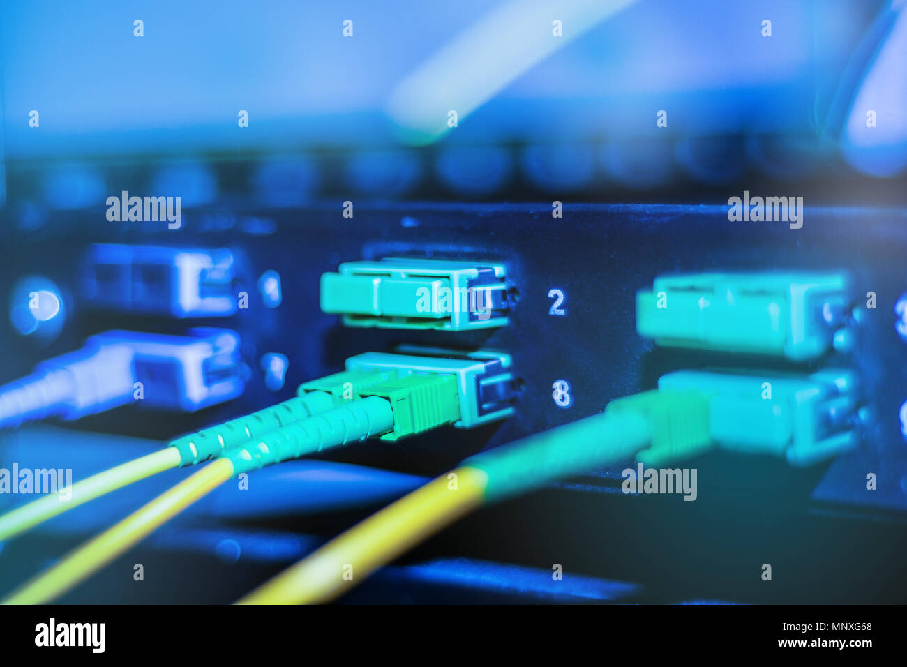 Cavo ottico in internet dei dispositivi di rete. Verde e giallo cavo in fibra ottica in interruttore. Concetto moderno di connessione a Internet Foto Stock