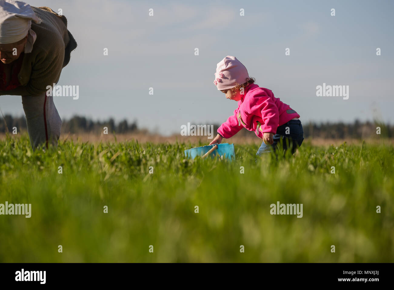 Nonna e nipote di poco il lavoro nel campo Foto Stock