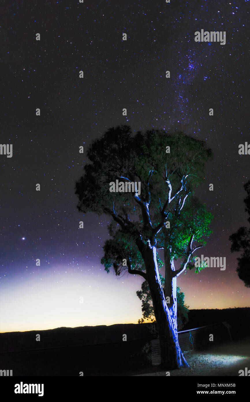 Via lattea stelle costellazioni nel cielo notturno nelle Blue Mountains dell Australia su singola gomma-tree. Foto Stock