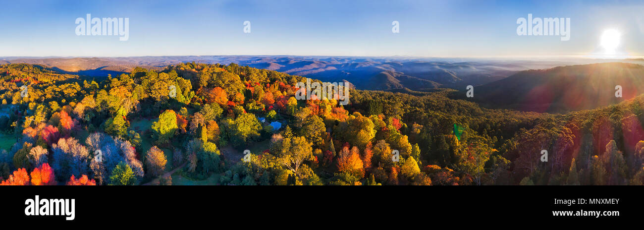 Antenna di ampio panorama del Monte Wilson città nelle Blue Mountains durante notti qua della stagione autunnale durante la luminosa albero colorato lascia i colori. Foto Stock