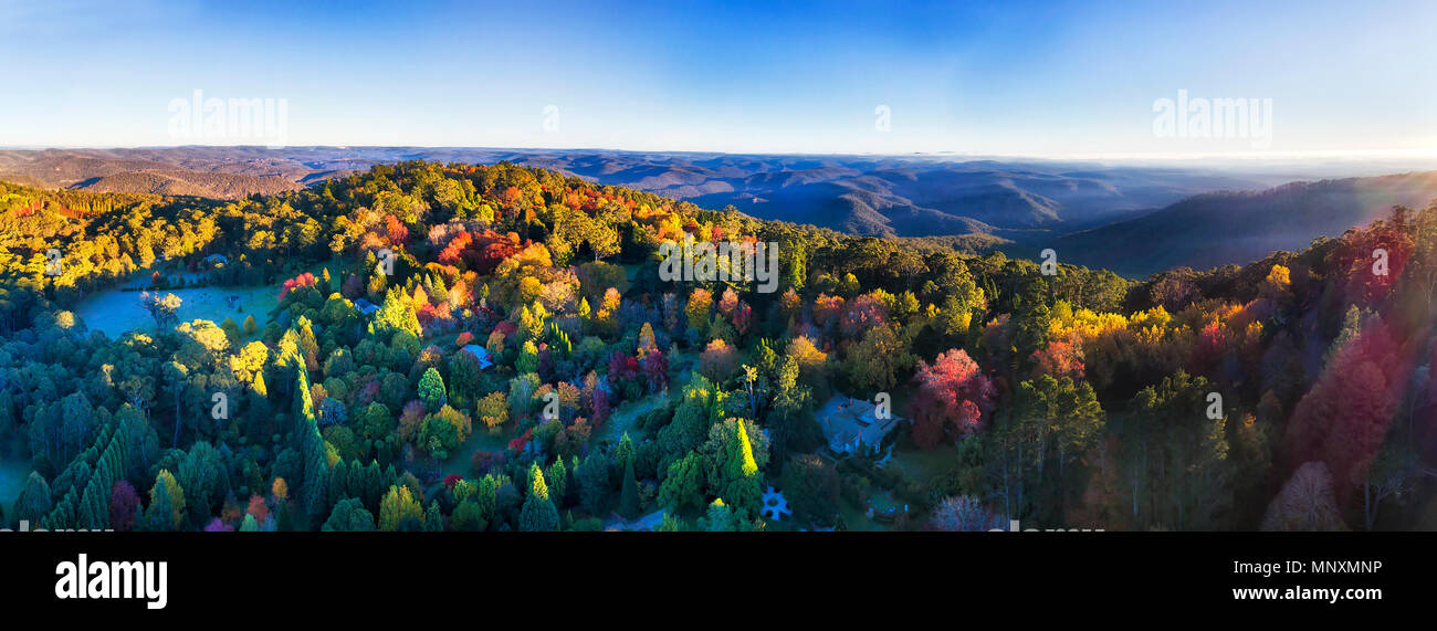 Antenna di ampio panorama di autunnale di lasciare gli alberi in Mount Wilson città di Blue Mountains, Australia. Cielo blu chiaro e luminoso raggi del sole nascente sulla rete CAN Foto Stock