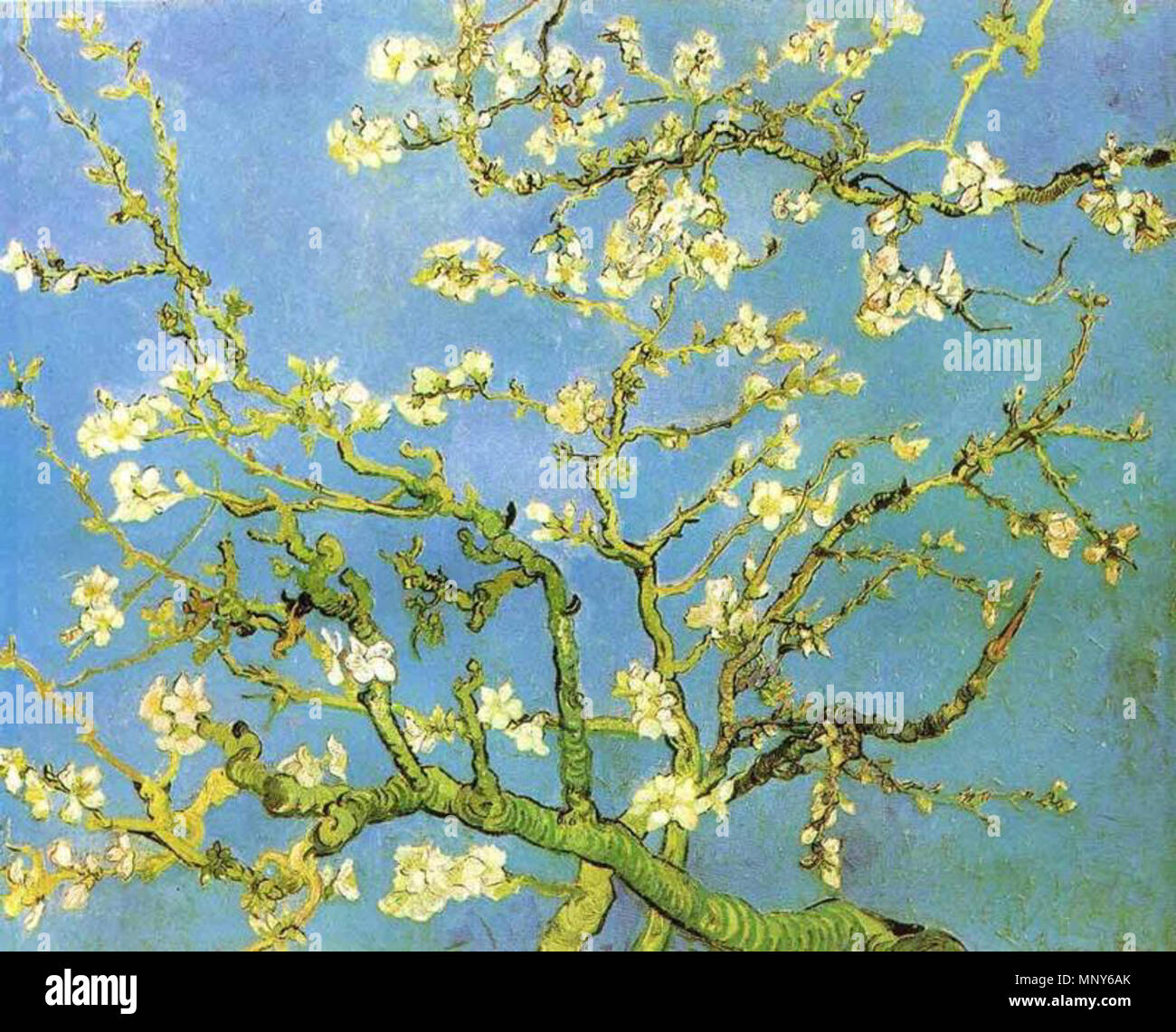 Almond Blossom . Inglese: la pittura ad olio la riproduzione di Vincent van Gogh . 1890. 1237 Vincent van Gogh - Blossomong Mandorlo Foto Stock