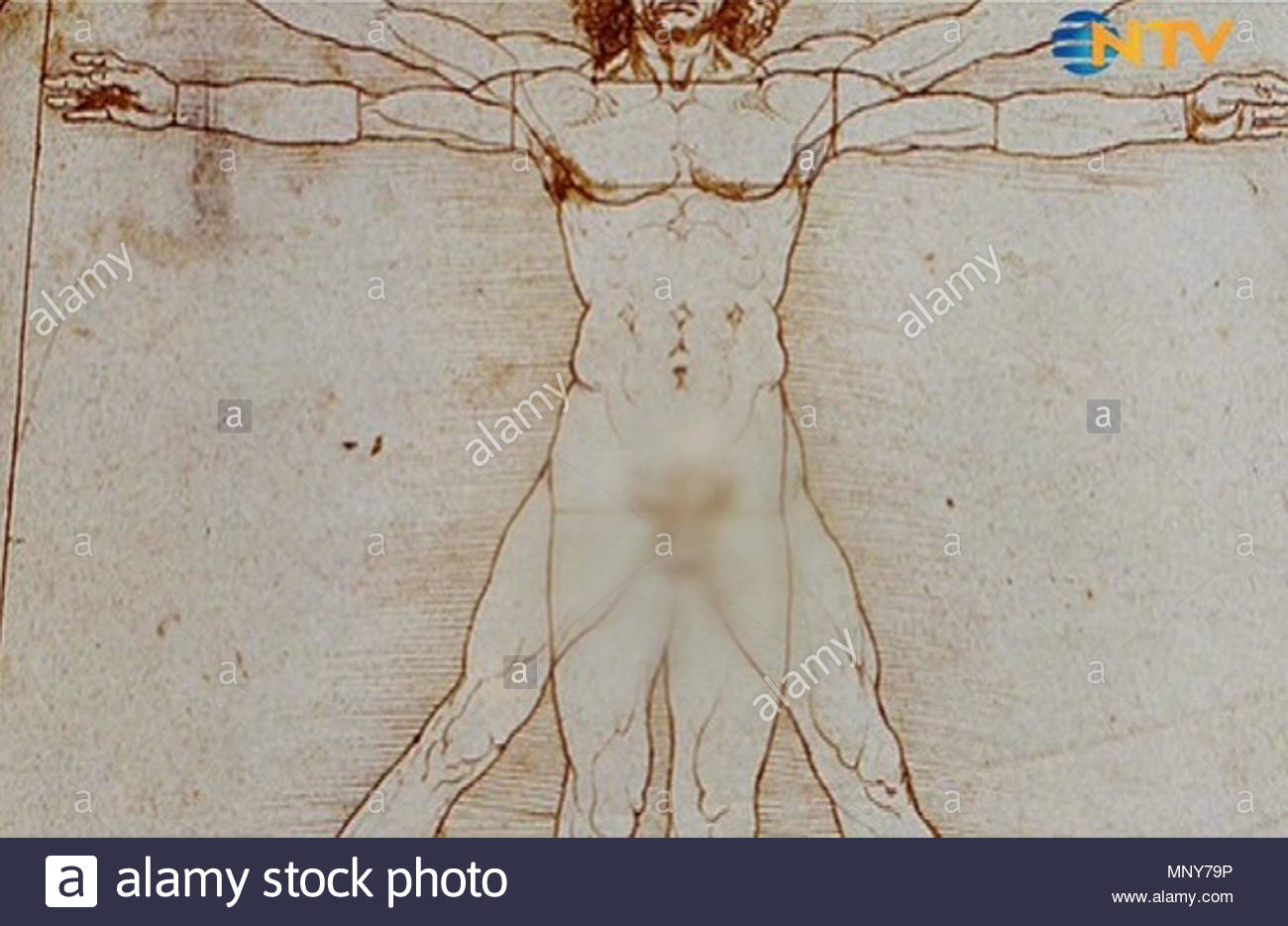 Inglese Uomo Vitruviano Di Leonardo Da Vinci La Galleria Dell Accademia Di Venezia 1485 90 Una
