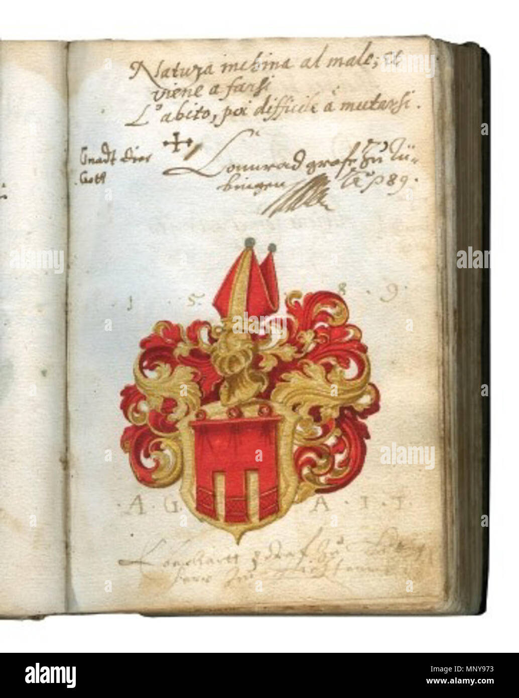 1251 Wappen des Grafen Konrad zu Tübingen im Stammbuch des Freyherr Erasmus von Starhemberg Foto Stock