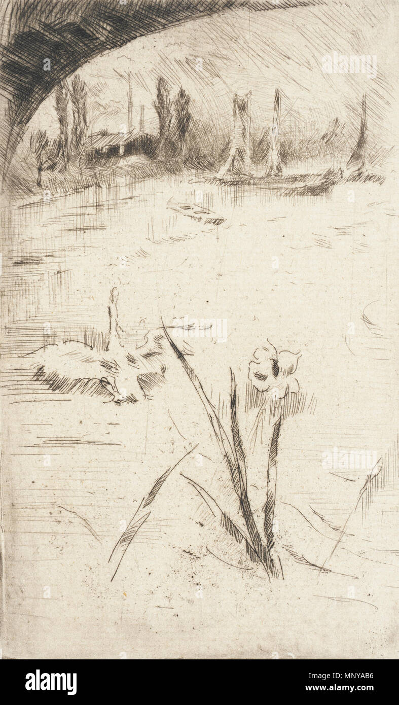 Volare acquisizione digitale Swan e Iris 1883. 1257 Whistler - Swan e Iris Foto Stock