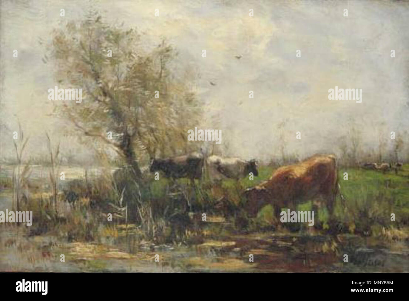 Bestiame in un luogo di irrigazione circa 1860-1910. 1261 Willem Maris 001 Foto Stock