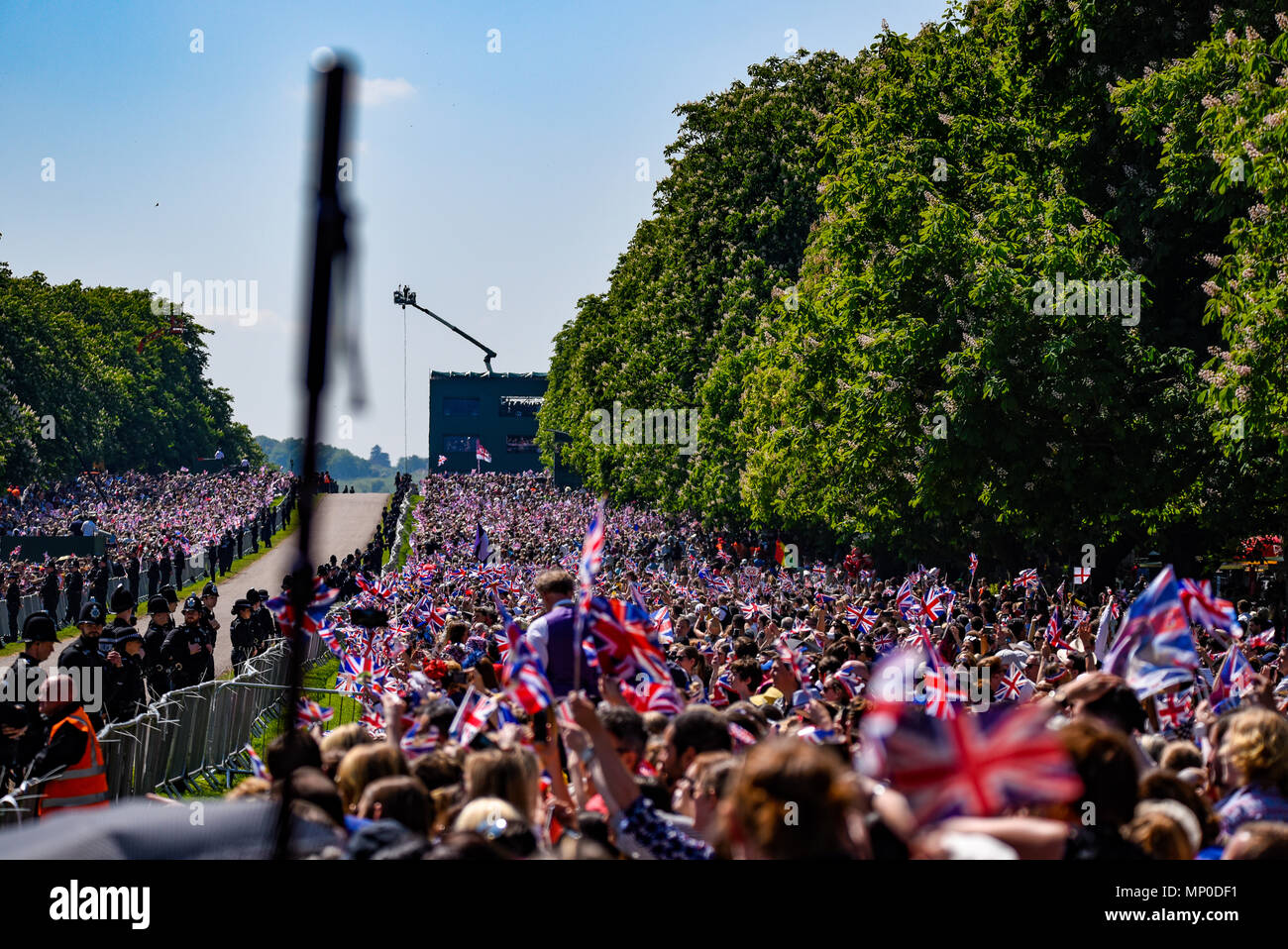 Royal Wedding. La folla di persone pranzo lungo la lunga passeggiata in Windsor Great Park di intravedere di Melissa Markle e il principe Harry. Sostenitori Foto Stock