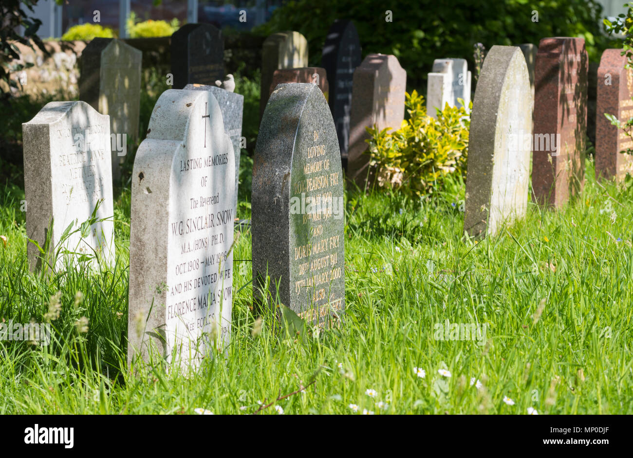 Le lapidi in un piccolo cimitero con erba lunga cresce in primavera nel Regno Unito. Foto Stock