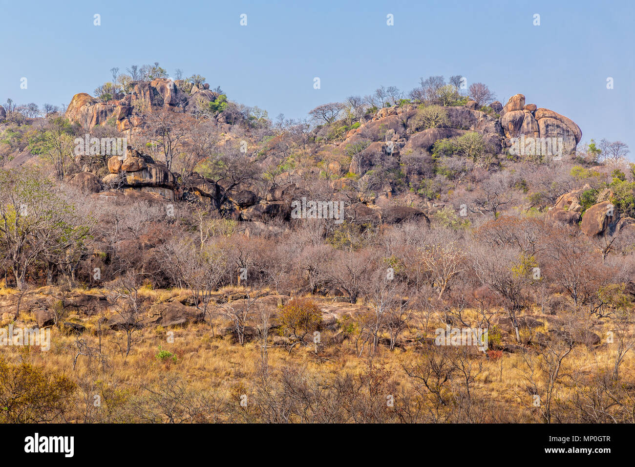 Vista delle rocce di bilanciamento in Matobo National Park, Zimbabwe, formata attraverso milioni di anni di erosione. Settembre 26, 2016. Foto Stock