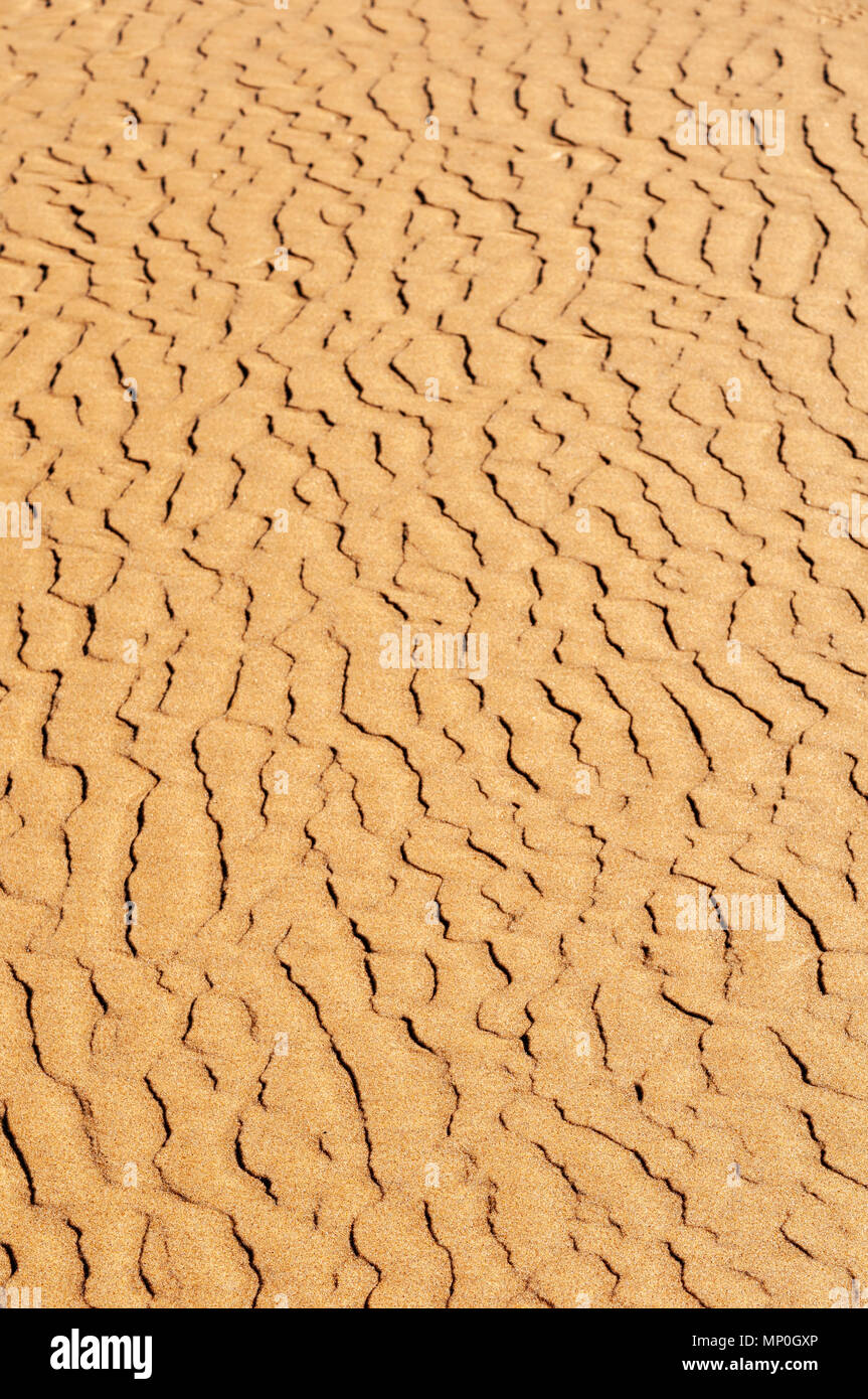 La piena immagine di frame di ondulazione nella sabbia dorata Foto Stock