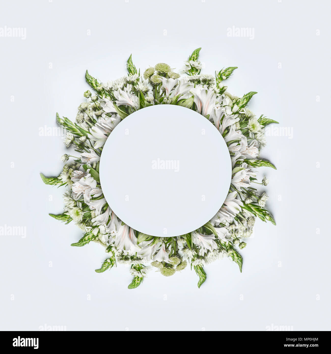 Bellissimo Tondo Cerchio Cornice Floreale O Corona Del Layout Con Fiori Verdi Su Sfondo Bianco Vista Dall Alto Foto Stock Alamy