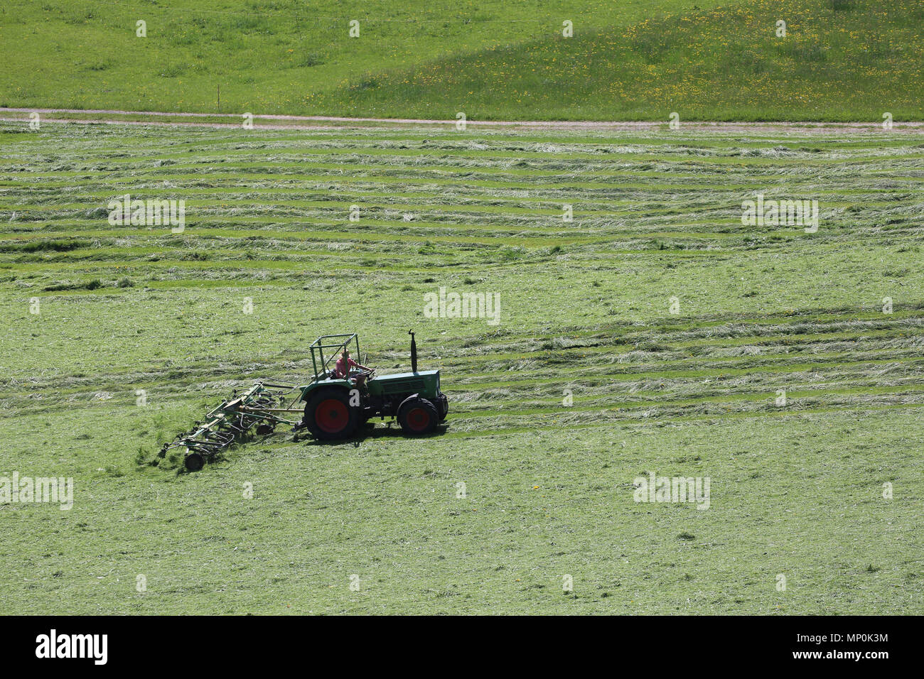 Gli agricoltori il raccolto di un campo con l'aiuto di macchine agricole - Bauern ernten ein feld mit hilfe von landwirtschaftlichen Maschinen Foto Stock
