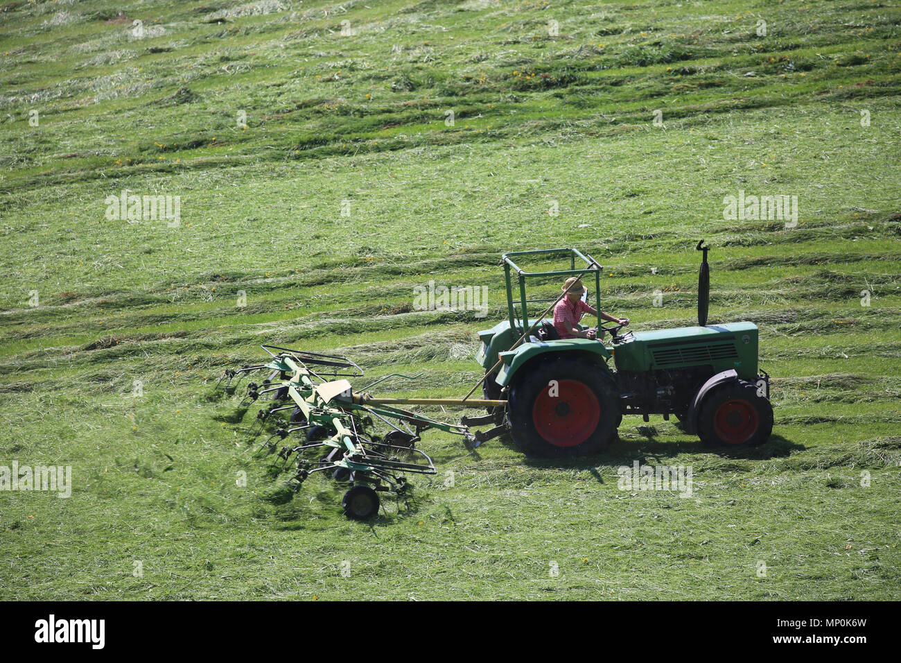 Gli agricoltori il raccolto di un campo con l'aiuto di macchine agricole - Bauern ernten ein feld mit hilfe von landwirtschaftlichen Maschinen Foto Stock