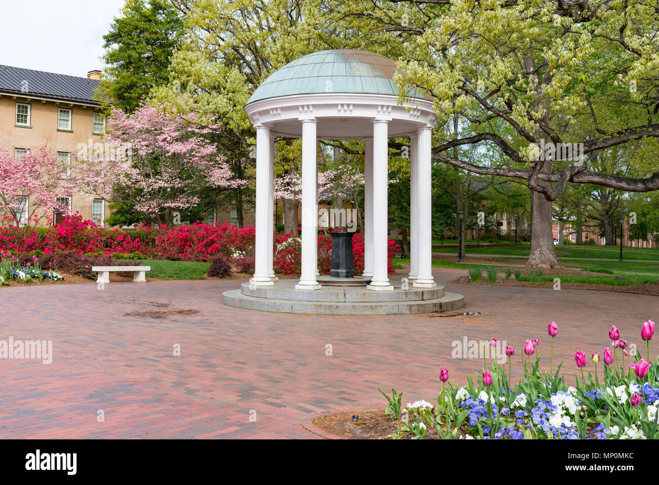 I fiori sbocciano in primavera presso il vecchio pozzo Rotunda presso l' Università della North Carolina a Chapel Hill Foto Stock