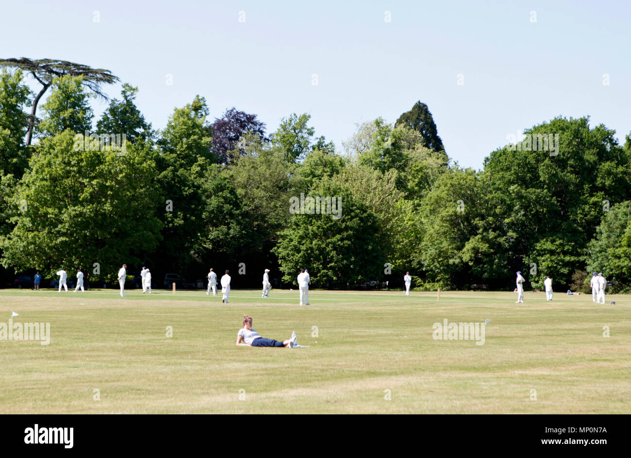 Villaggio partita di cricket scena essendo giocato su Englefield Green, Egham, Surrey/ confine Berkshire, Inghilterra, Regno Unito Foto Stock