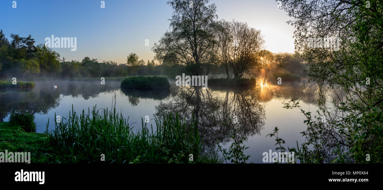 Estate alba sul lago. Riserva naturale vicino a Lockerbie. La Scozia. Foto Stock