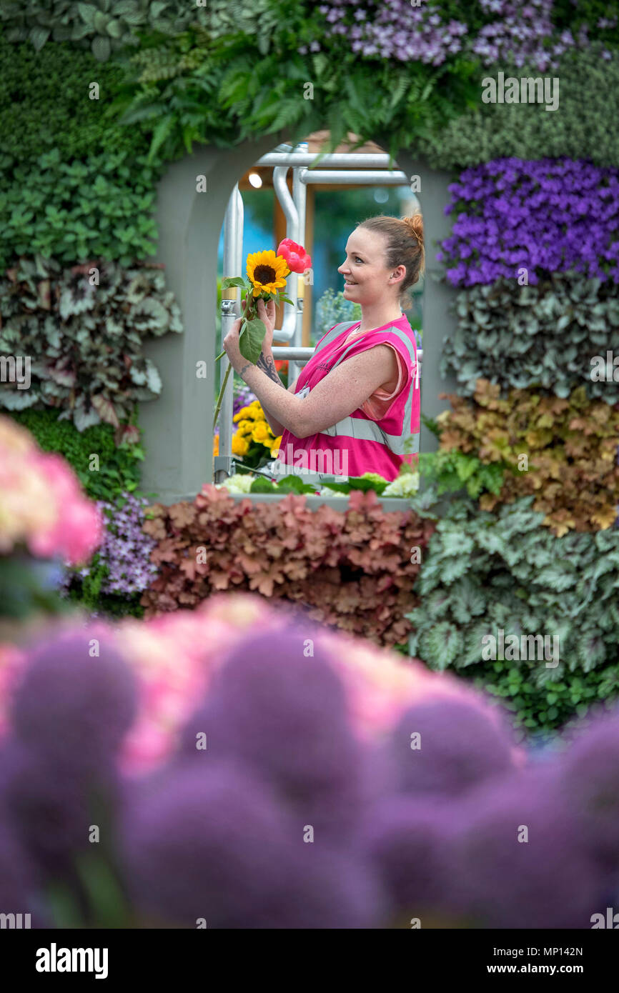 Un lavoratore regola un display floreali come continuano i preparativi per quest'anno la RHS Chelsea Flower Show presso il Royal Hospital Chelsea, Londra. Foto Stock