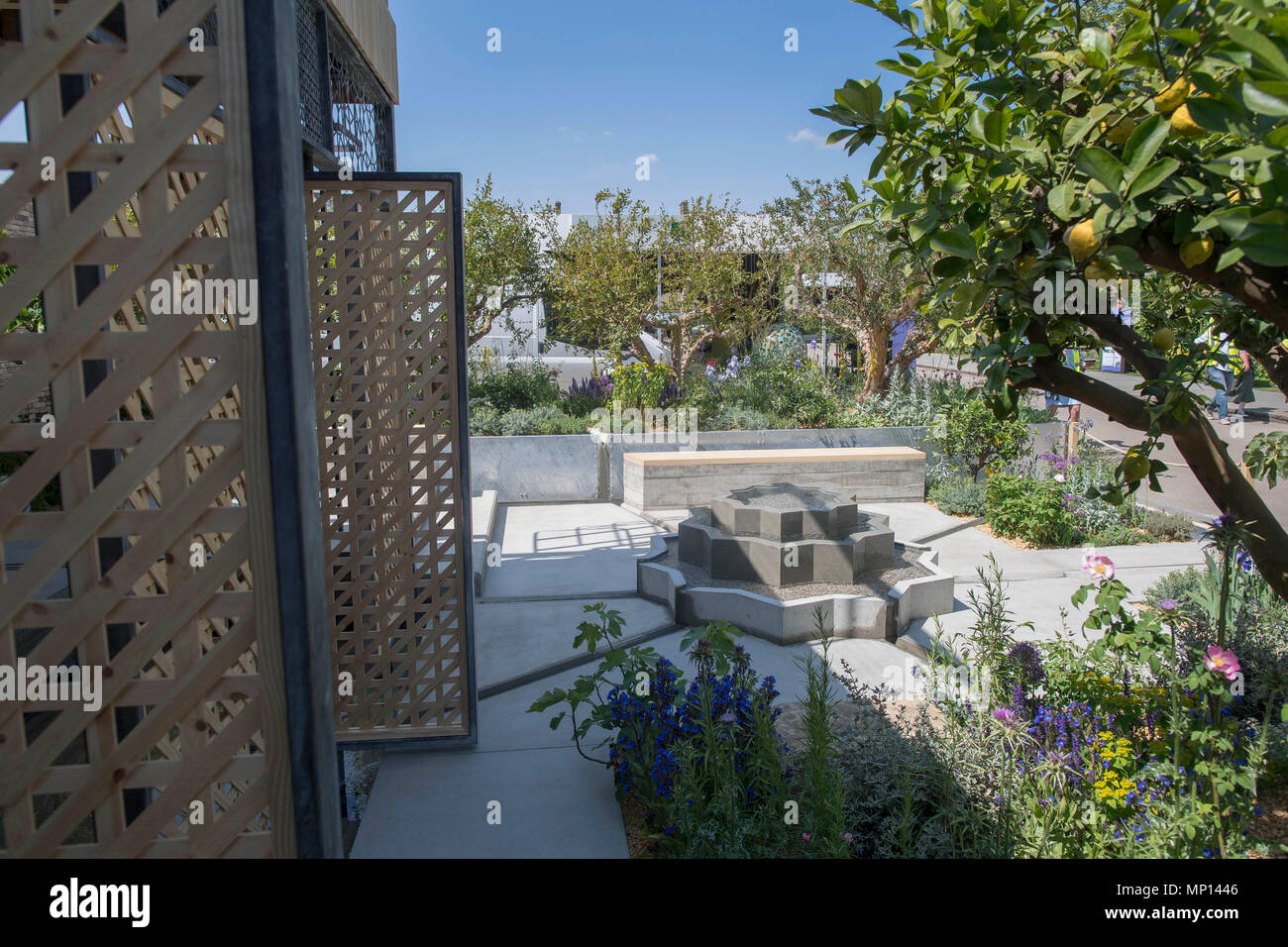 La pianta di limone Trust giardino mostrano come i preparativi5 proseguire per questo anno di RHS Chelsea Flower Show presso il Royal Hospital Chelsea, Londra. Foto Stock