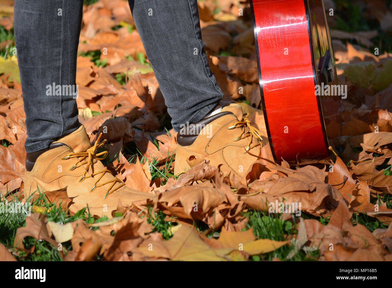 Piedi di giovane ragazza camminare attraverso falen Foglie di autunno, tenendo chitarra rossa Foto Stock