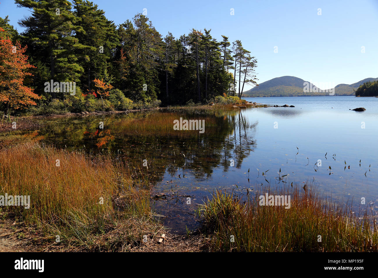 Parco Nazionale di Acadia, Bar Harbor, Maine Foto Stock