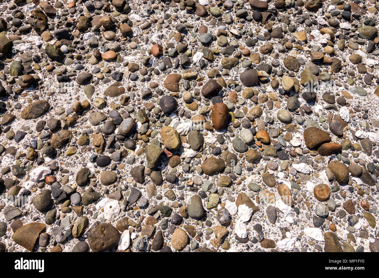 I ciottoli sulla spiaggia, Helliwell Parco Provinciale, Hornby Isola, BC, Canada. Foto Stock