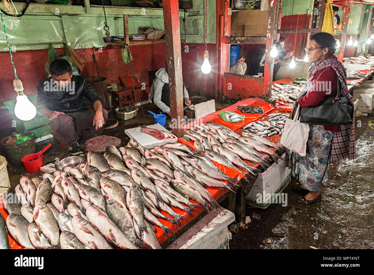 Mercato del Pesce di Shillong, Meghalaya, India Foto Stock