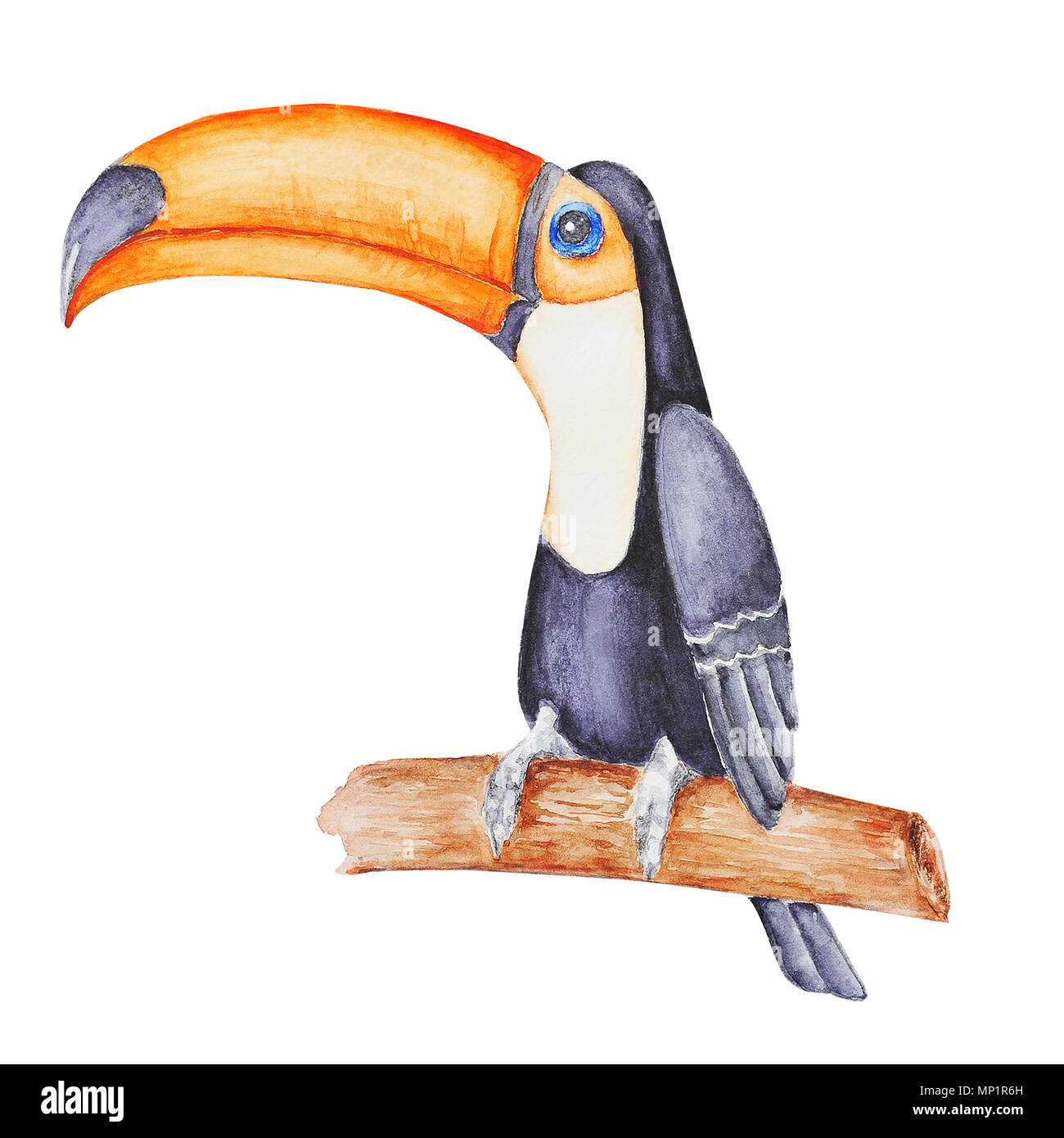 Cartone animato tucano immagini e fotografie stock ad alta risoluzione -  Alamy