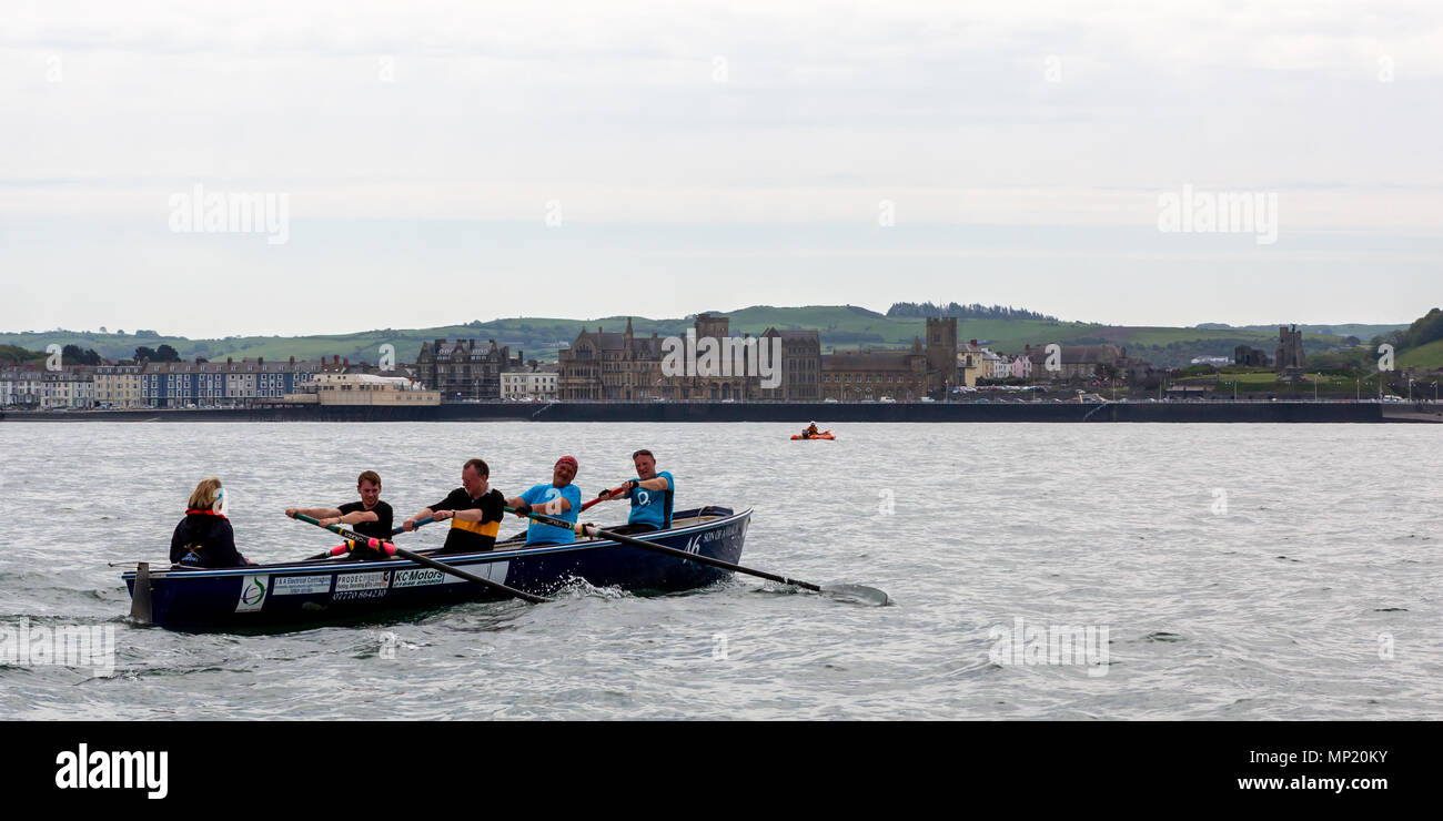 I concorrenti che partecipano in Aberystwyth club di canottaggio regata su Cardigan Bay. © Ian Jones/Alamy Live News. Foto Stock
