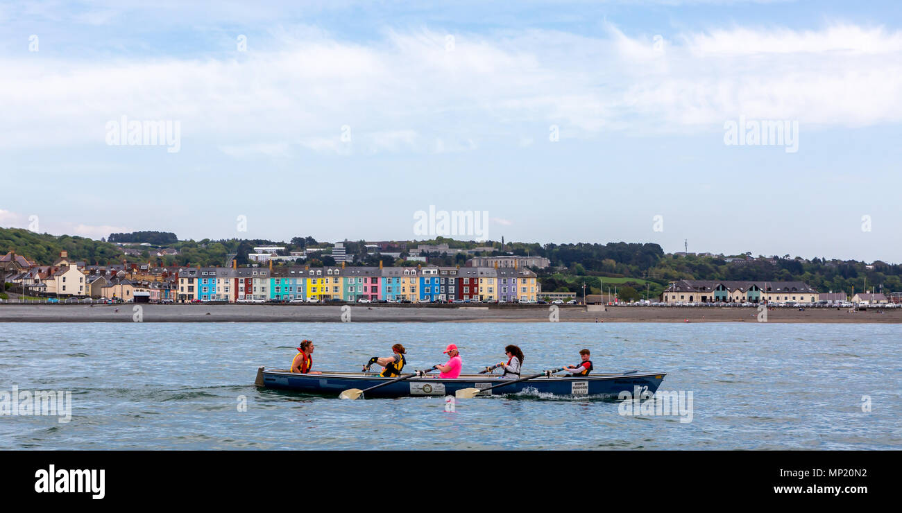I concorrenti che partecipano in Aberystwyth club di canottaggio regata su Cardigan Bay. © Ian Jones/Alamy Live News. Foto Stock