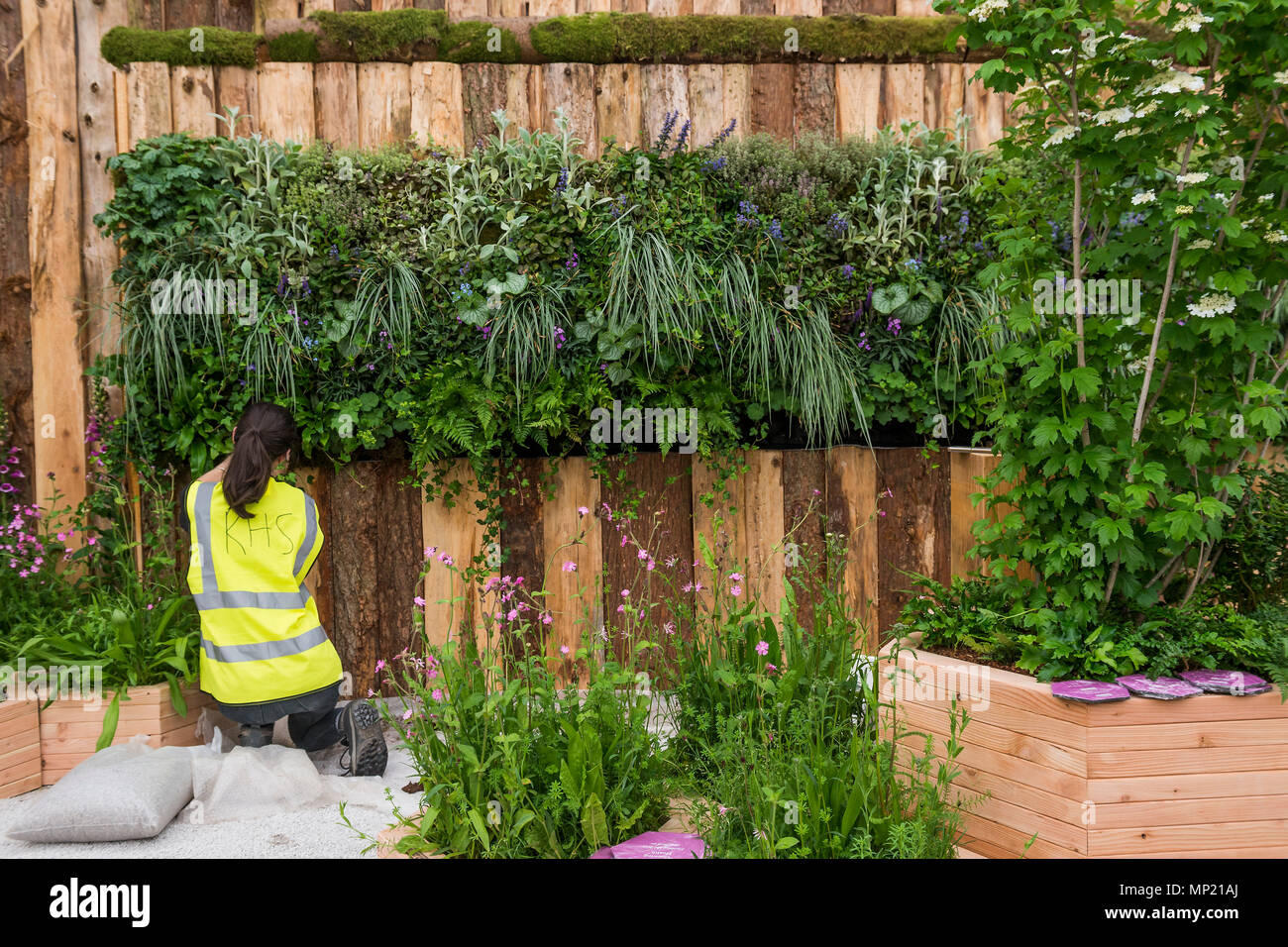 Londra, Regno Unito. Il 20 maggio 2018. Cresce la salute - RHS Chelsea Flower Show presso il Royal Hospital Chelsea. Credito: Guy Bell/Alamy Live News Foto Stock
