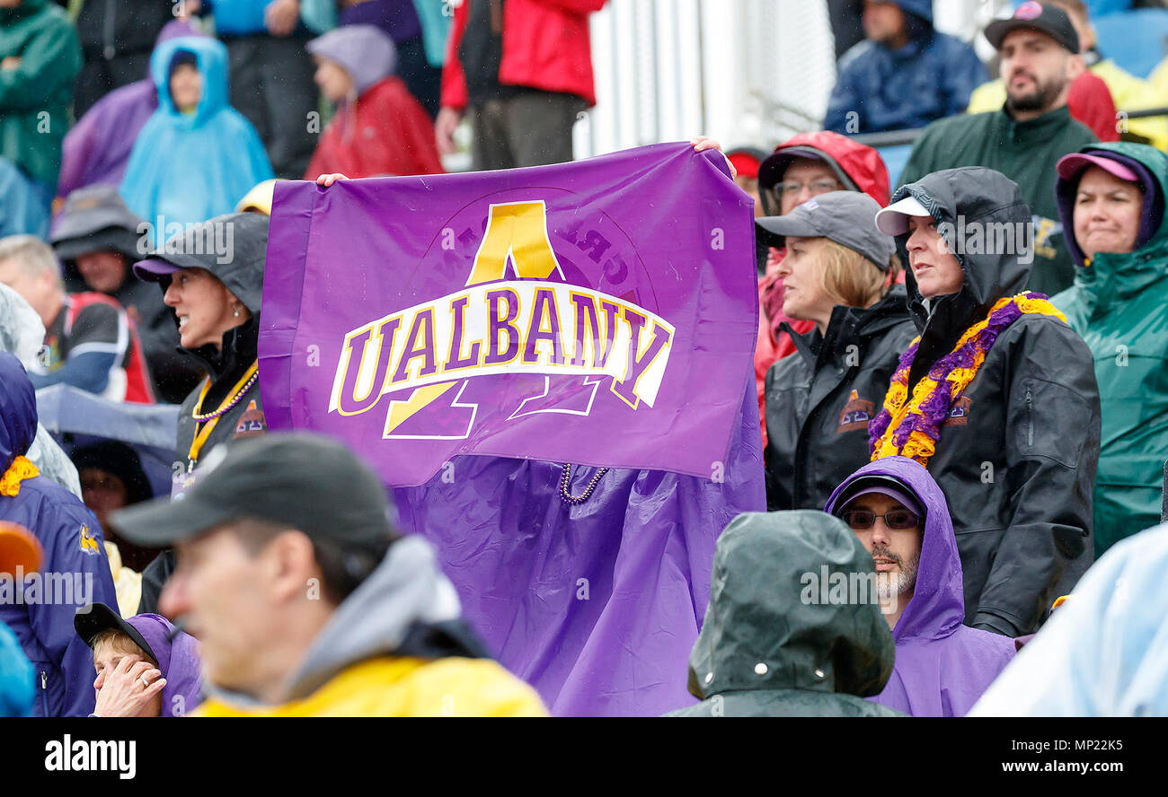 Uniondale, NY, STATI UNITI D'AMERICA. 19 Maggio, 2018. I fan di Albany pregame come UAlbany maschile di Lacrosse sconfigge Denver 15-13 Maggio su 19 nel torneo del NCAA Quarti di finale. Credito: csm/Alamy Live News Foto Stock