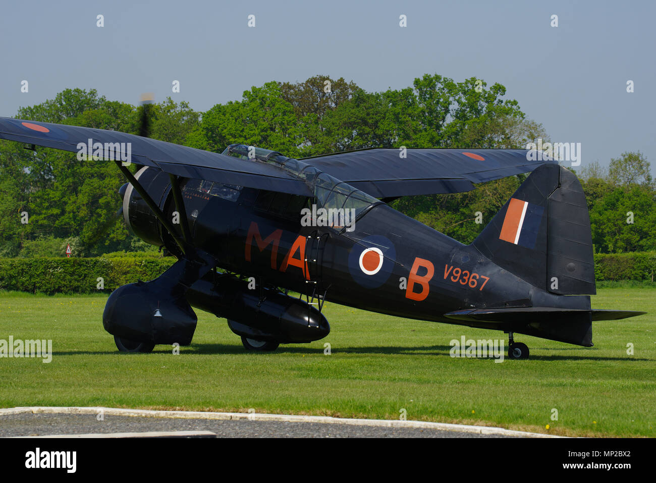 Westland Lysander III V9367, G-AZWT, Shuttleworth Collection, Biggleswade, Bedfordshire, Foto Stock