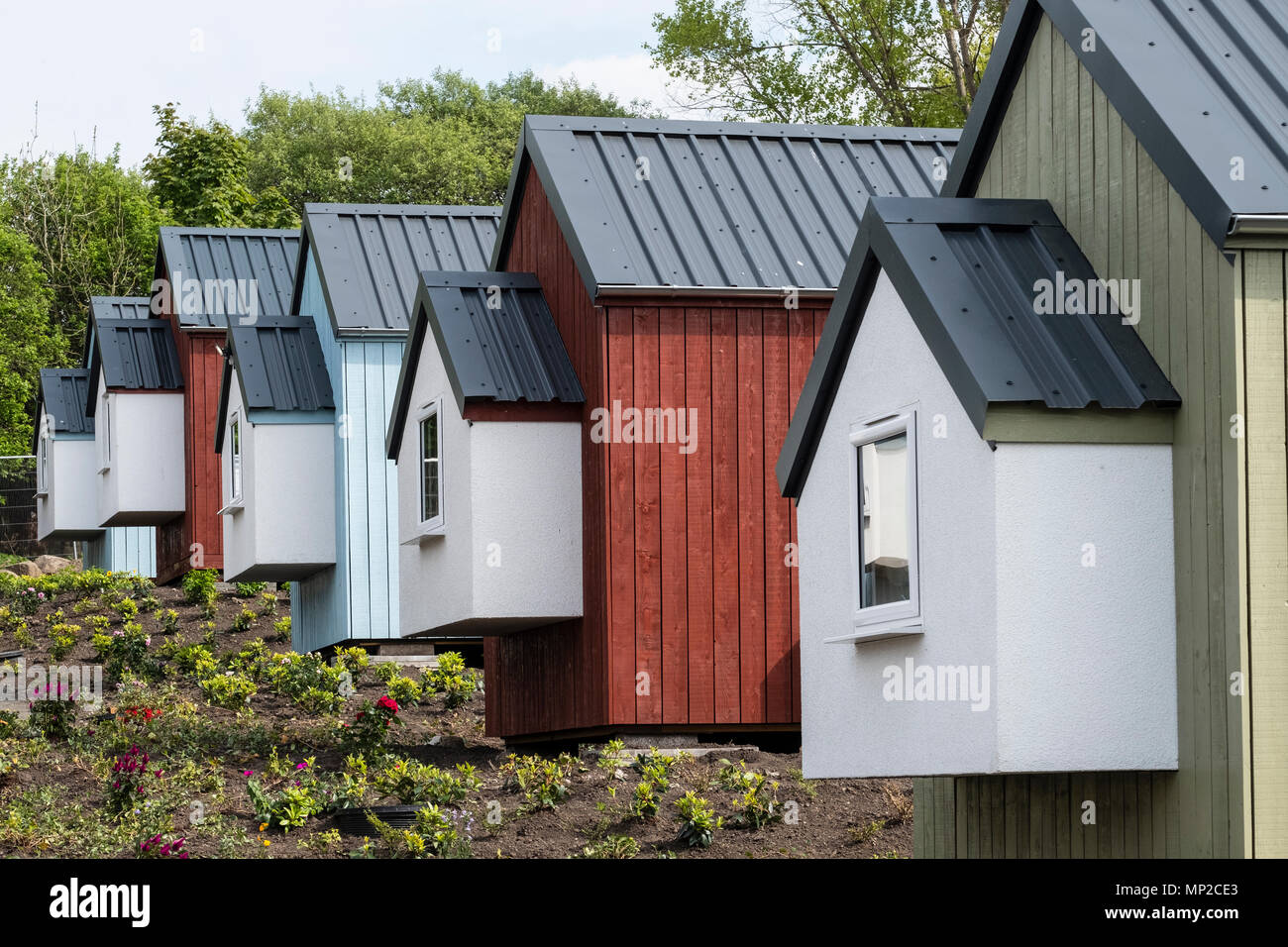 Vista del nuovo case di legno al morso sociale villaggio in Granton costruito dal morso sociale organizzazione per i senzatetto, Edimburgo, Scozia, Regno Kin Foto Stock