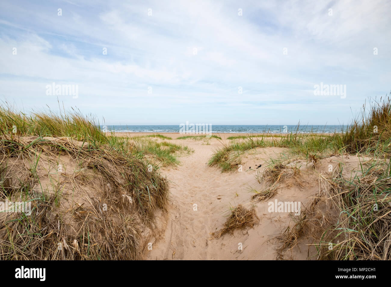 Vista di spiaggia e dune di sabbia a Tentsmuir Riserva Naturale Nazionale sulla costa del Mare del Nord in Fife, Scozia, Regno Unito Foto Stock