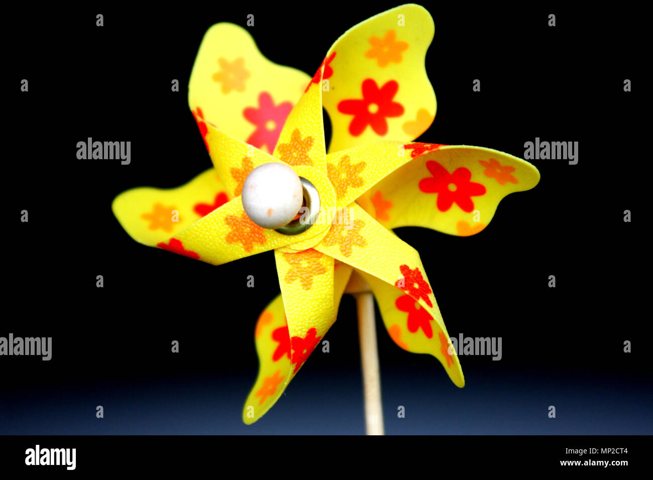 Un piccolo vento wain in piedi in campo. Colorato. Foto Stock