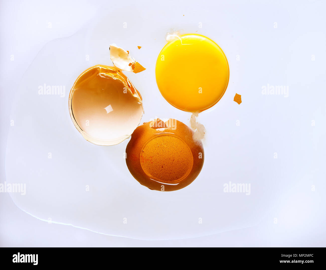 Uova con guscio colpo dal basso su bianco Foto Stock