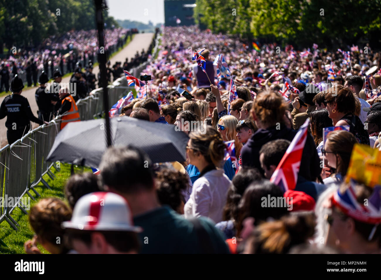 Royal Wedding. La folla di persone pranzo lungo la lunga passeggiata in Windsor Great Park di intravedere di Melissa Markle e il principe Harry. Sostenitori Foto Stock