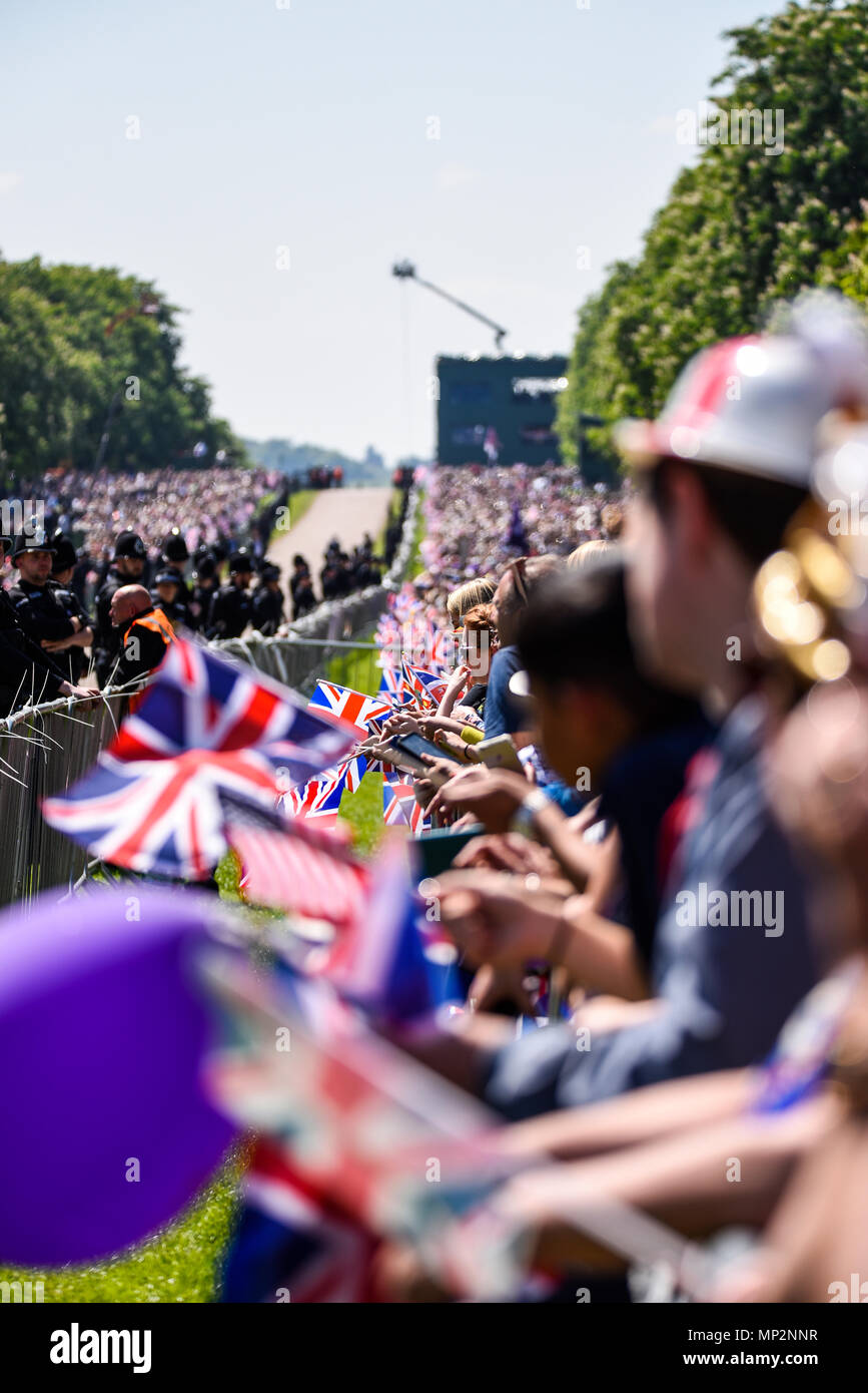 Royal Wedding. La folla di persone pranzo lungo la lunga passeggiata in Windsor Great Park di intravedere di Melissa Markle e il principe Harry. Sostenitori Foto Stock