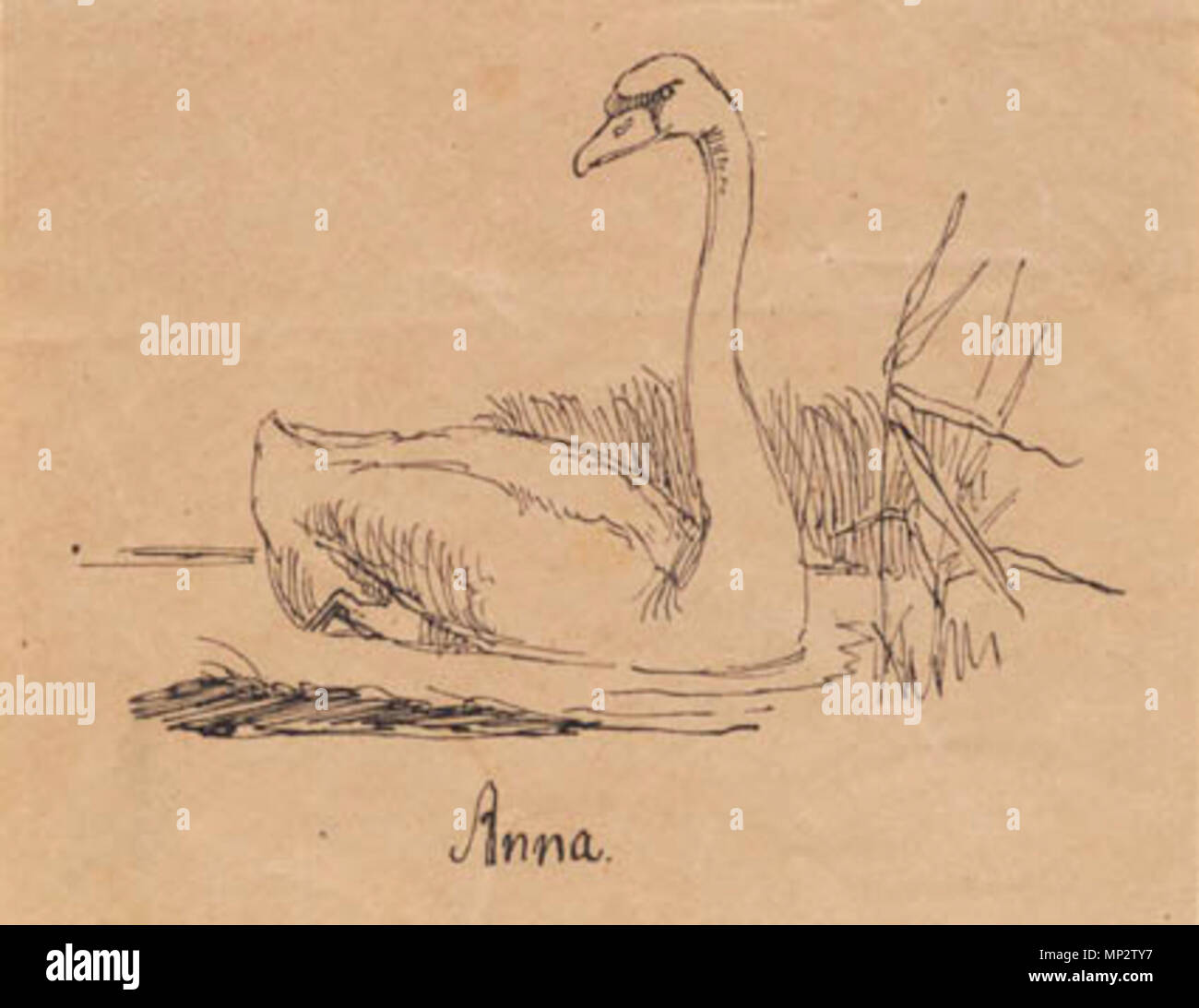 Kks8996 723 Johan Thomas Lundbye - En svane Foto Stock