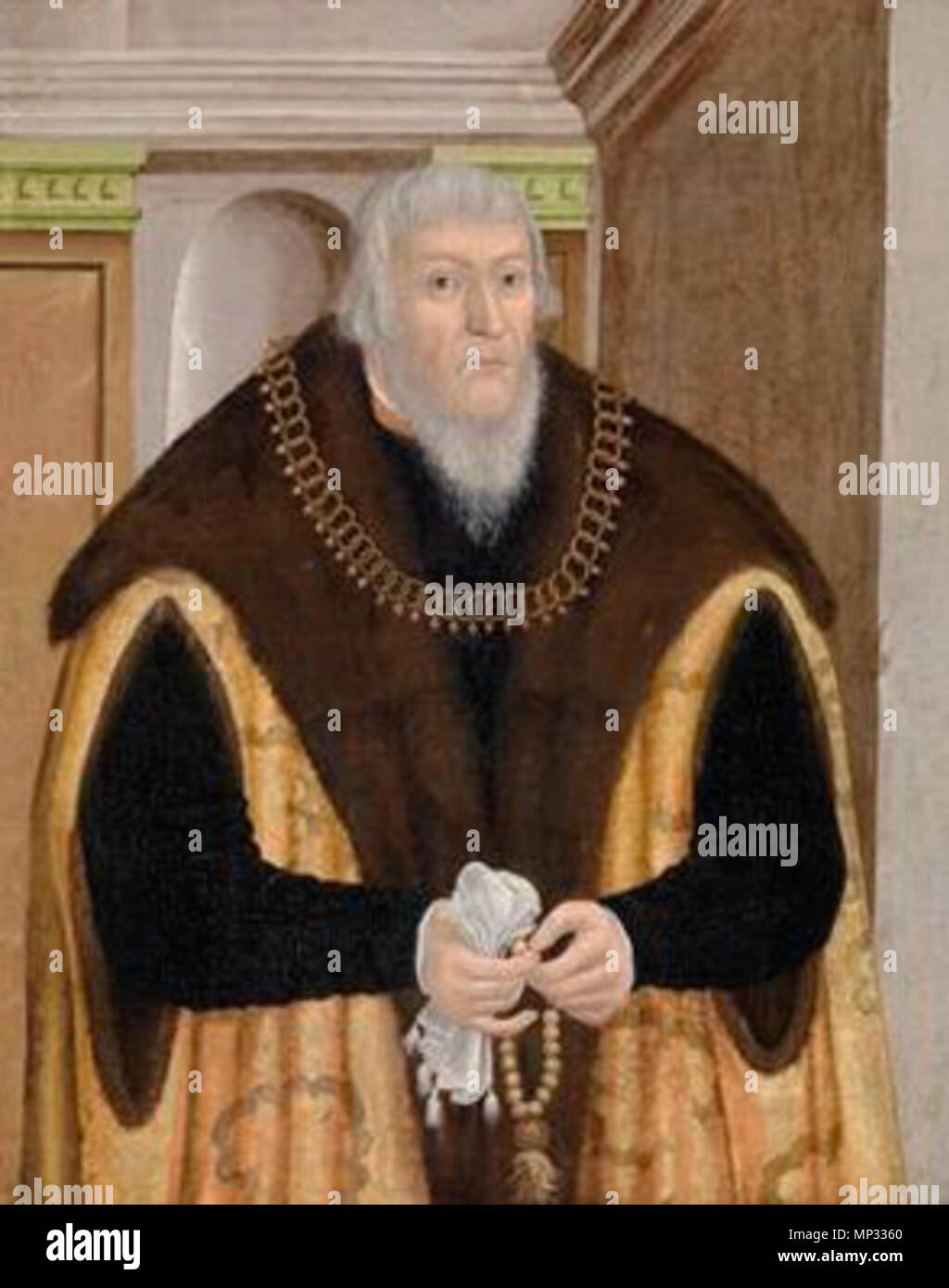 N 13332 0038 1126 Sivolasi mož z molkom Foto Stock