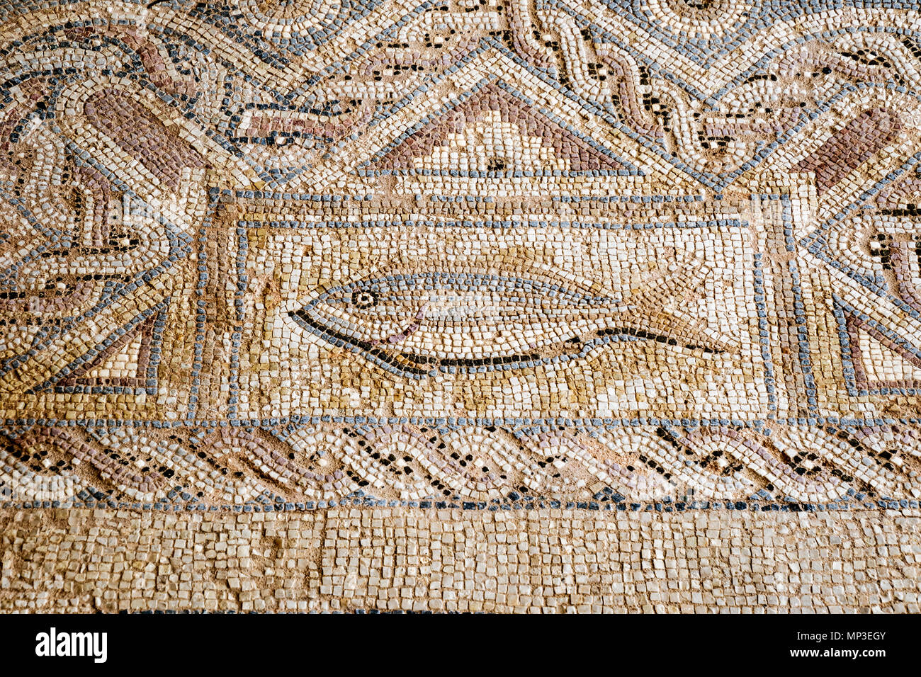 Piastrelle per pavimento in Kourion, Cipro sono stati recentemente restaurati Foto Stock