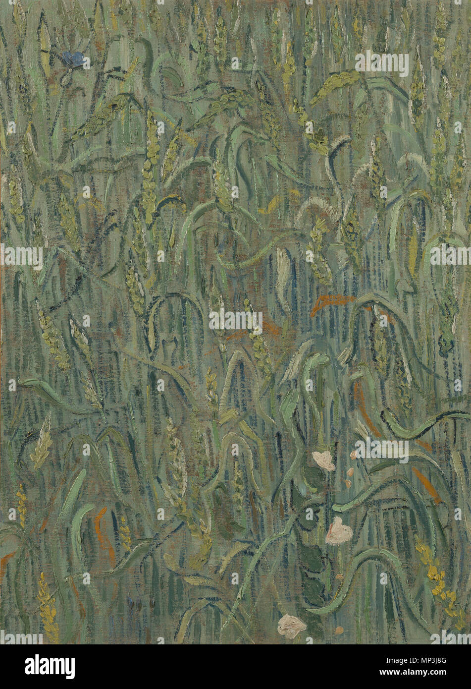 Inglese: spighe di grano Nederlands: Korenaren . Inglese: dipinto di Vincent van Gogh, 1890 Nederlands: Schilderij van Vincent van Gogh, 1890 . 1890. 774 Korenaren - S0088V1962 - Il Museo di Van Gogh Foto Stock