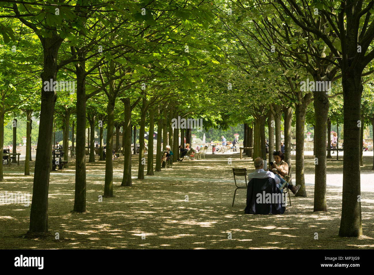 Due persone rilassarsi all'ombra degli alberi presso i giardini del Lussemburgo a Parigi, Francia. Foto Stock