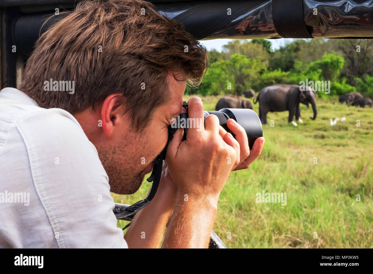 Uomo caucasico in maglia bianca rendendo le foto di una mandria di elefanti durante il safari nel parco nazionale dello Sri Lanka Foto Stock
