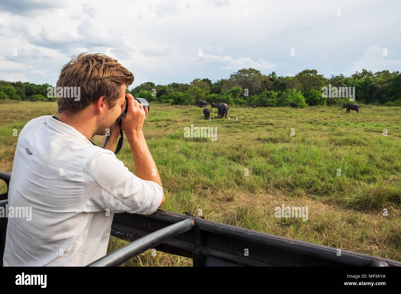 Uomo caucasico in maglia bianca rendendo le foto di una mandria di elefanti durante il safari nel parco nazionale dello Sri Lanka Foto Stock