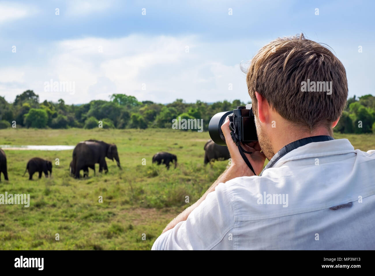 Uomo caucasico in maglia bianca rendendo le foto di una mandria di elefanti durante il safari nel parco nazionale dello Sri Lanka Foto Stock